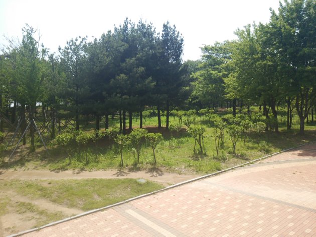 木々が生い茂っている孝園公園